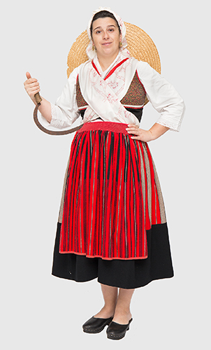 traje de ir à erva grupo danças cantares perre